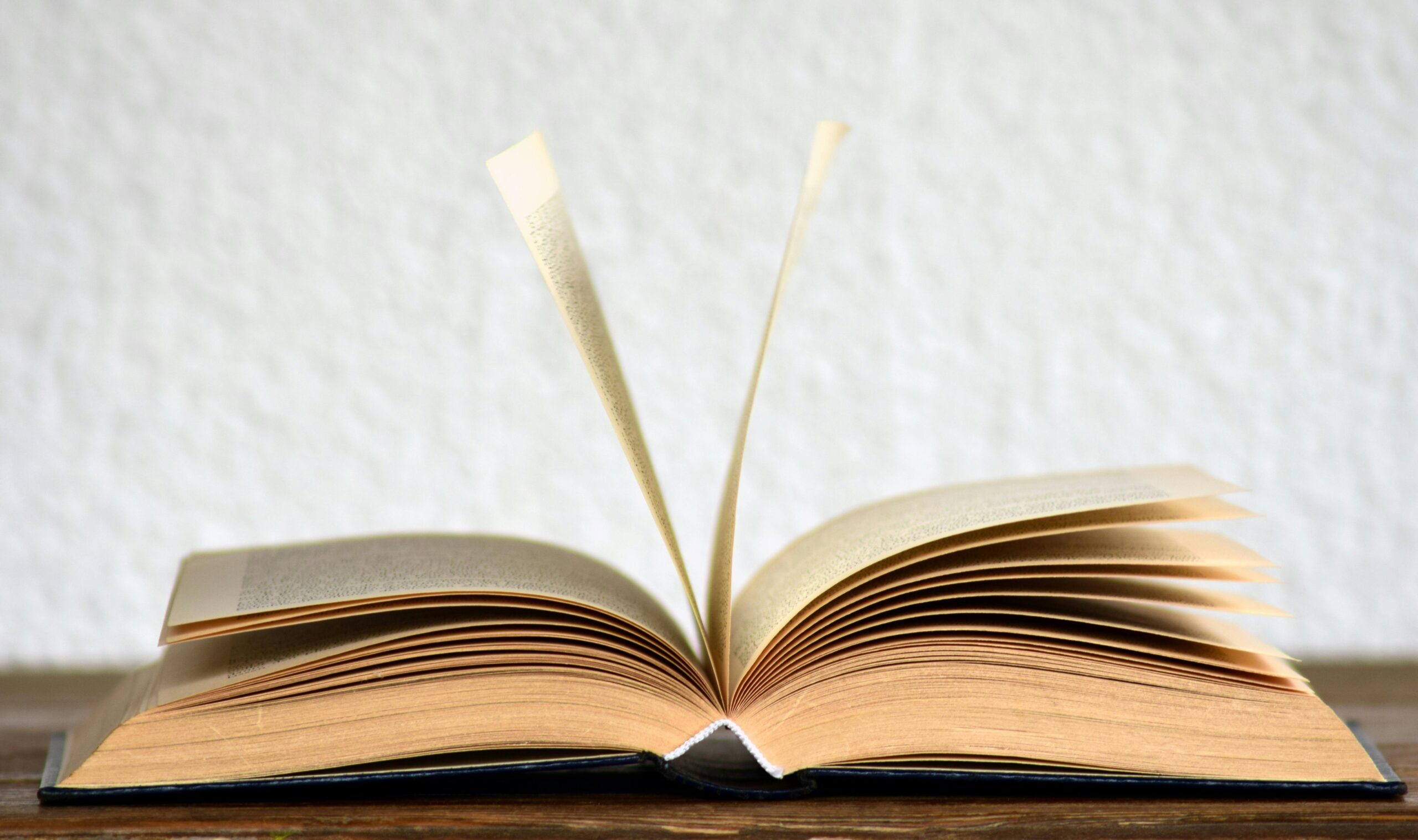 Cinco razones para leer ‘La Última Cúpula’